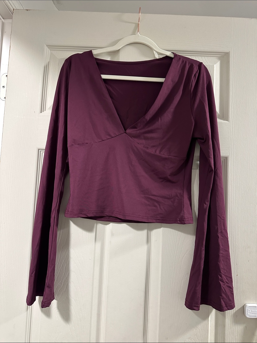 SHEIN Plum Long-Sleeve V-Neck Crop Top